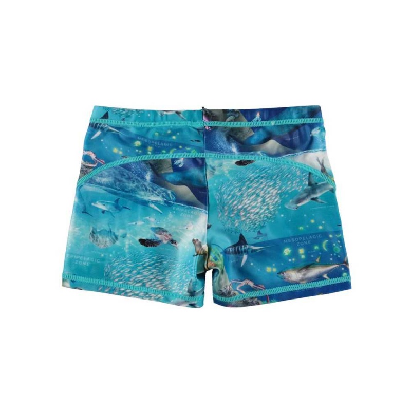 Molo Norton Badshorts & Boardies Ocean Zones | SE0001136