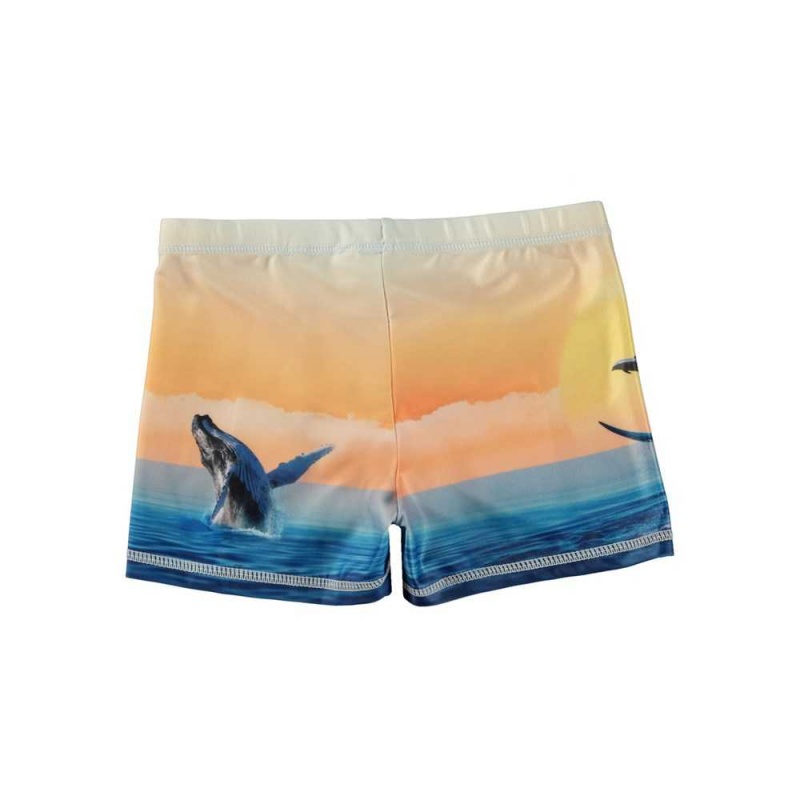 Molo Norton Placed Badshorts & Boardies Ocean Smile | SE0001144