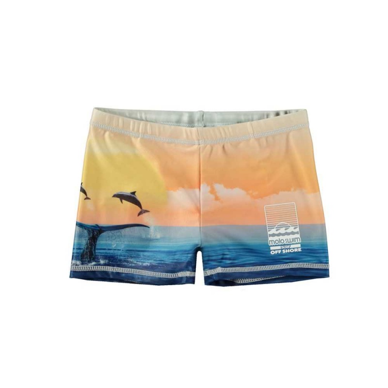 Molo Norton Placed Badshorts & Boardies Ocean Smile | SE0001144