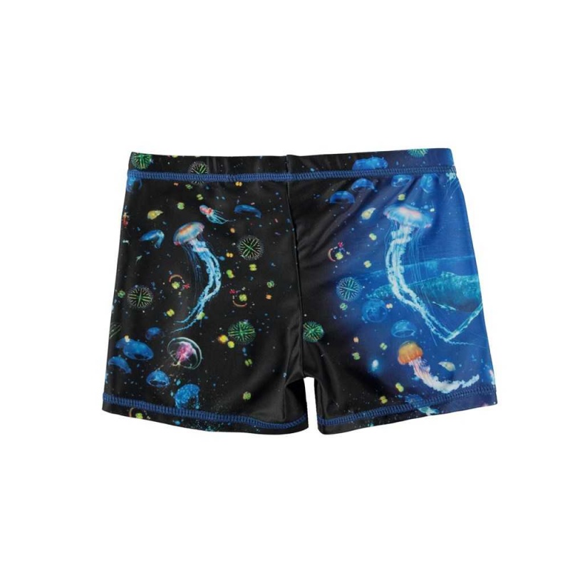 Molo Norton Placed Badshorts & Boardies Plankton | SE0001151