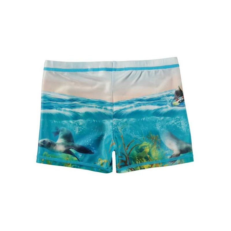 Molo Norton Placed Badshorts & Boardies Sealion | SE0001114