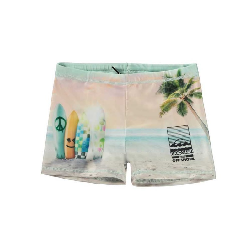 Molo Norton Placed Badshorts & Boardies Sunrise Surfer | SE0001119