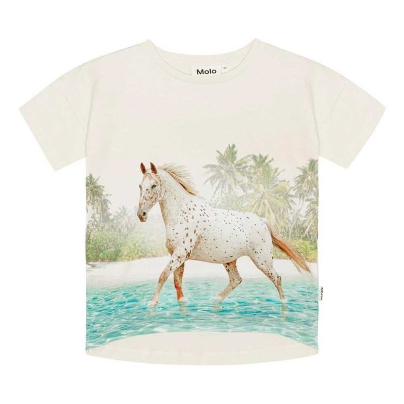 Molo Raeesa T Shirts Tops Flicka Horse On Beach | SE0000523