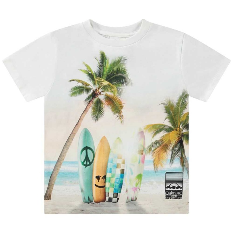 Molo Rame T Shirts Tops Pojke Sunrise Surfer | SE0000774