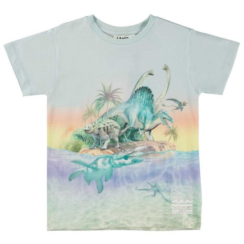 Molo Raul T Shirts Tops Pojke Ancient Island | SE0000630