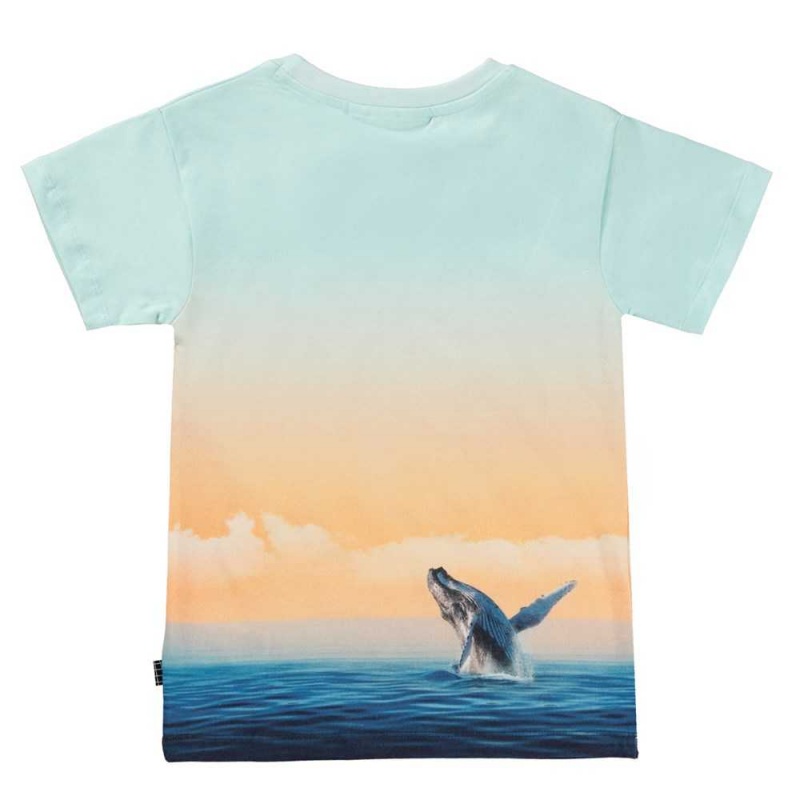 Molo Raul T Shirts Tops Pojke Ocean Smile | SE0000631