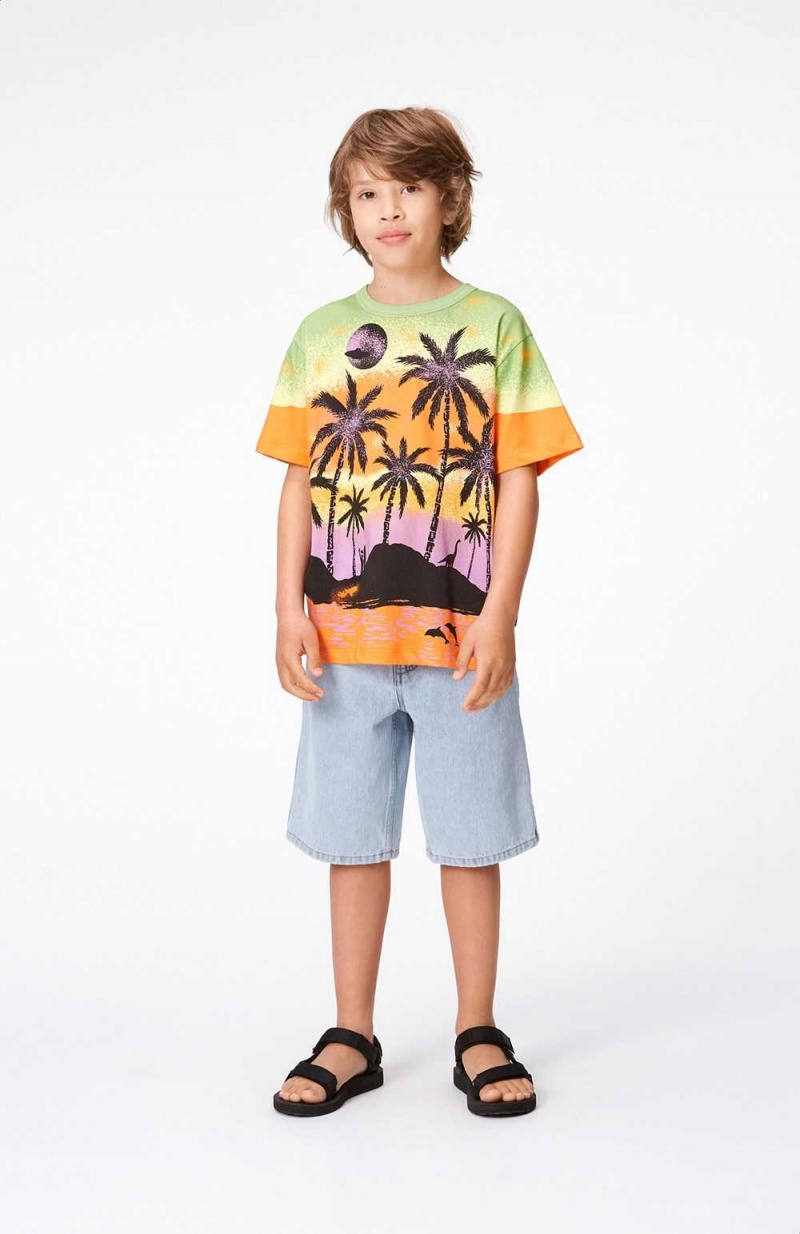 Molo Riley T Shirts Tops Pojke Alien Island | SE0000773