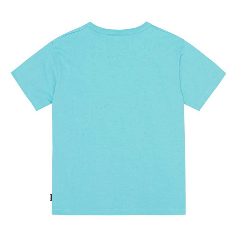 Molo Riley T Shirts Tops Pojke Beaming Dinos | SE0000829