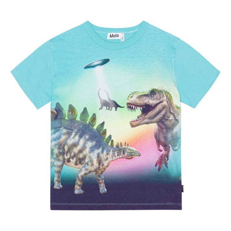 Molo Riley T Shirts Tops Pojke Beaming Dinos | SE0000829