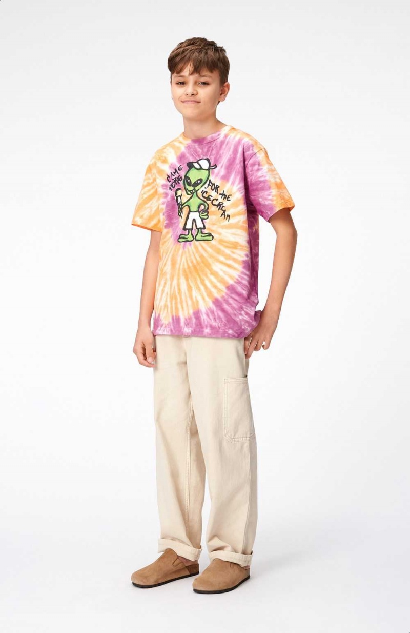 Molo Riley T Shirts Tops Pojke Ember Purple Dye | SE0000783