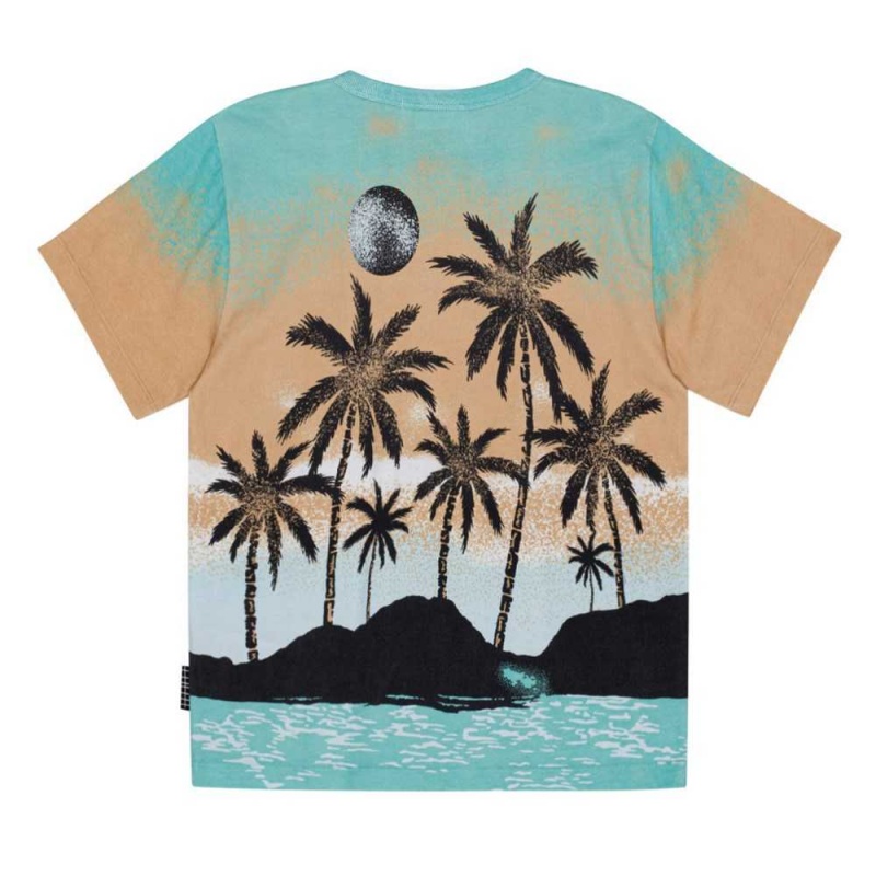 Molo Riley T Shirts Tops Pojke Holiday Island | SE0000778