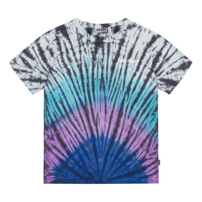 Molo Riley T Shirts Tops Pojke Lit Dye | SE0000851