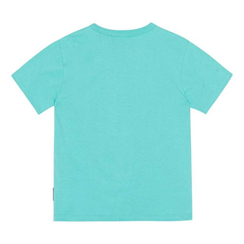 Molo Riley T Shirts Tops Pojke Pacific | SE0000830