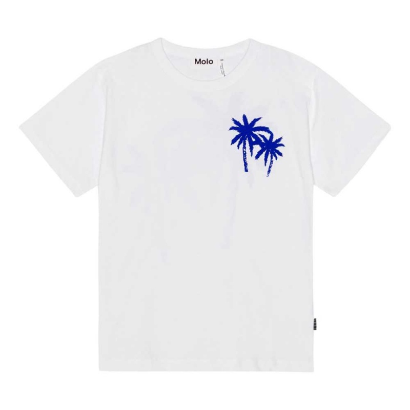 Molo Riley T Shirts Tops Pojke Palmtree Love | SE0000768