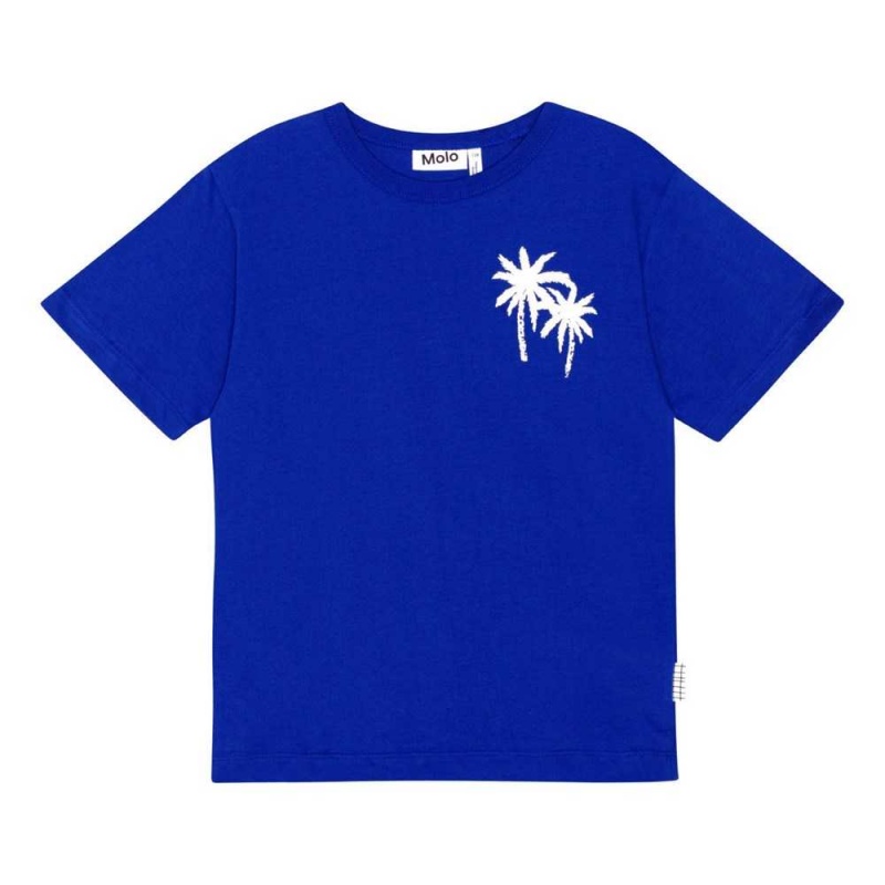 Molo Riley T Shirts Tops Pojke Reef Blue | SE0000770