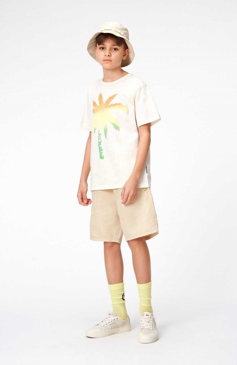 Molo Riley T Shirts Tops Pojke Spray Palm | SE0000769