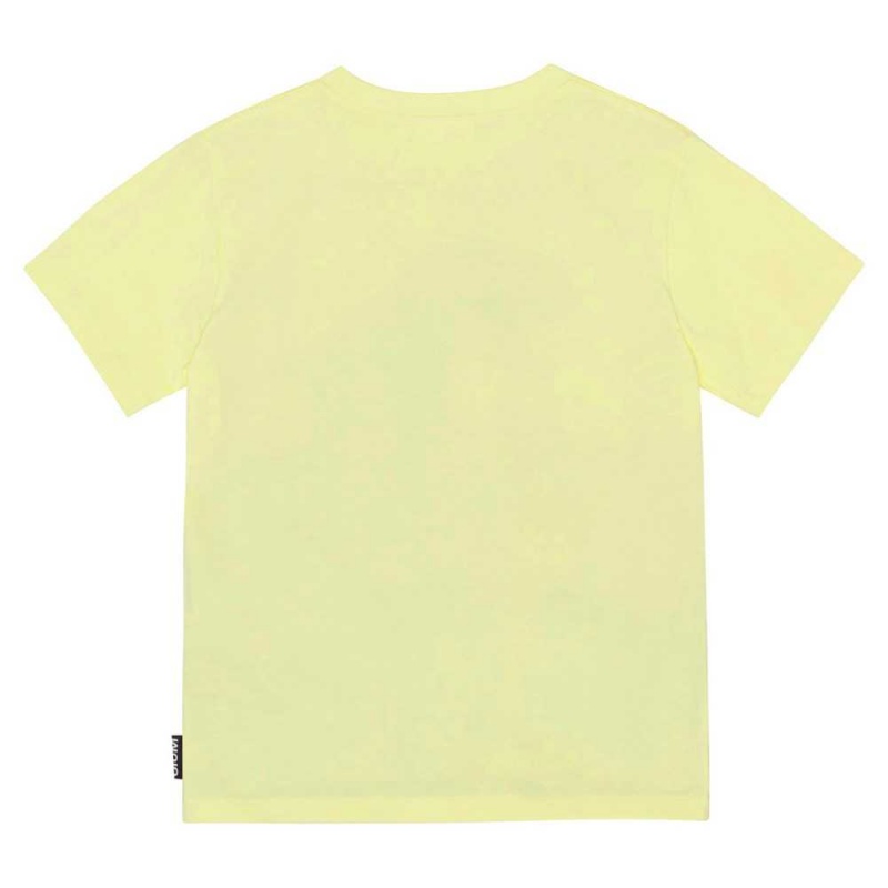 Molo Riley T Shirts Tops Pojke Volcano Dino | SE0000808