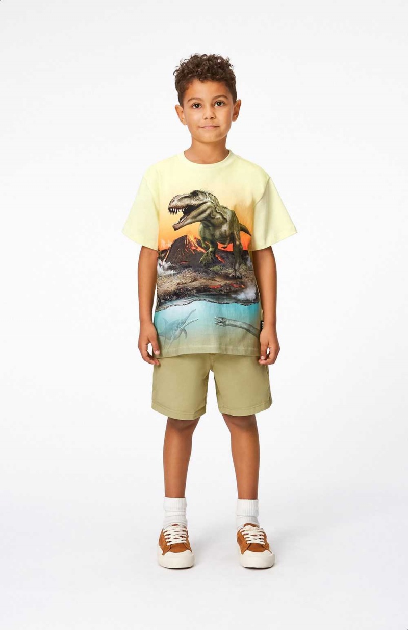 Molo Riley T Shirts Tops Pojke Volcano Dino | SE0000808