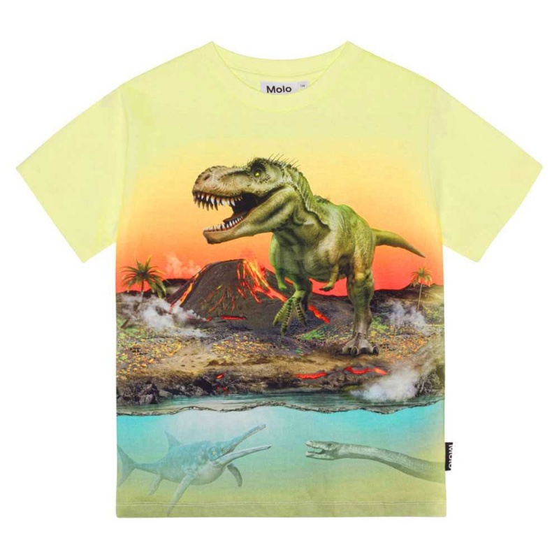 Molo Riley T Shirts Tops Pojke Volcano Dino | SE0000808