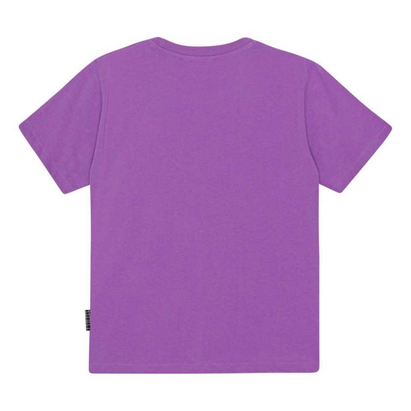 Molo Rodney T Shirts Tops Pojke Purple Sky | SE0000852