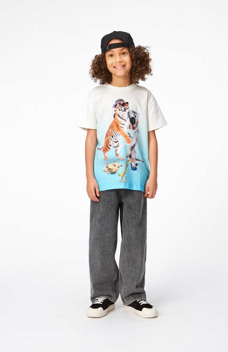 Molo Roxo T Shirts Tops Pojke Dance Animals | SE0000854