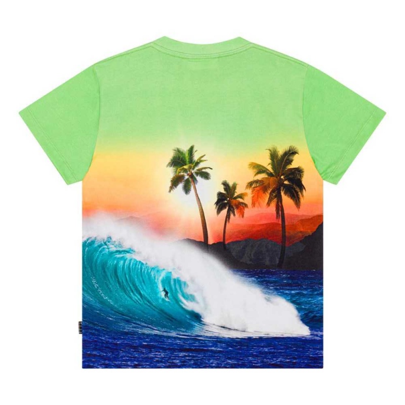 Molo Roxo T Shirts Tops Pojke Green Sunset | SE0000771