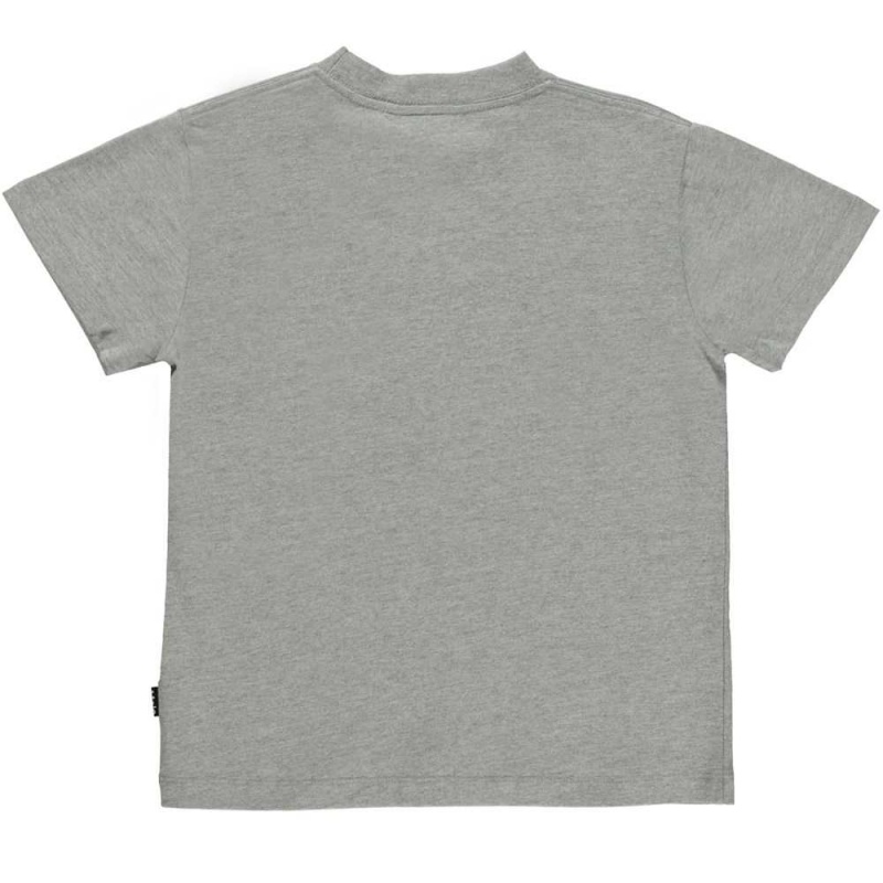 Molo Roxo T Shirts Tops Pojke Grey Melange | SE0000871