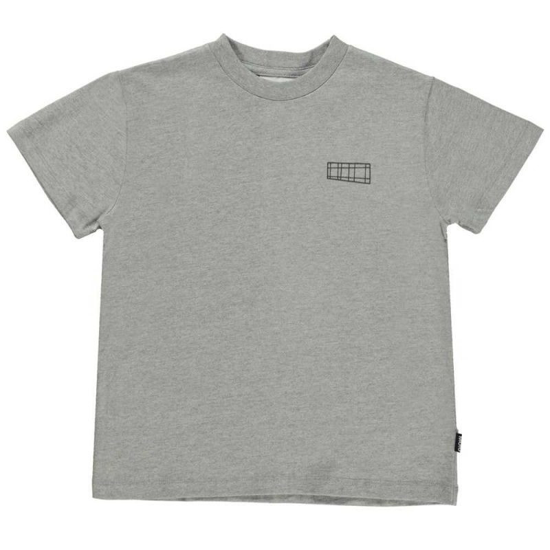 Molo Roxo T Shirts Tops Pojke Grey Melange | SE0000871