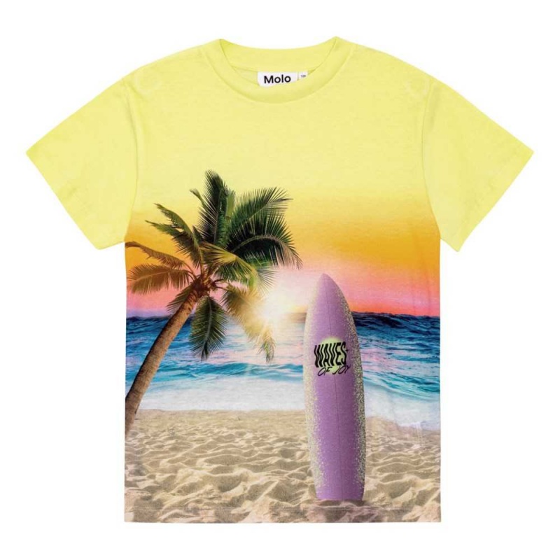 Molo Roxo T Shirts Tops Pojke Sunset Surf | SE0000776