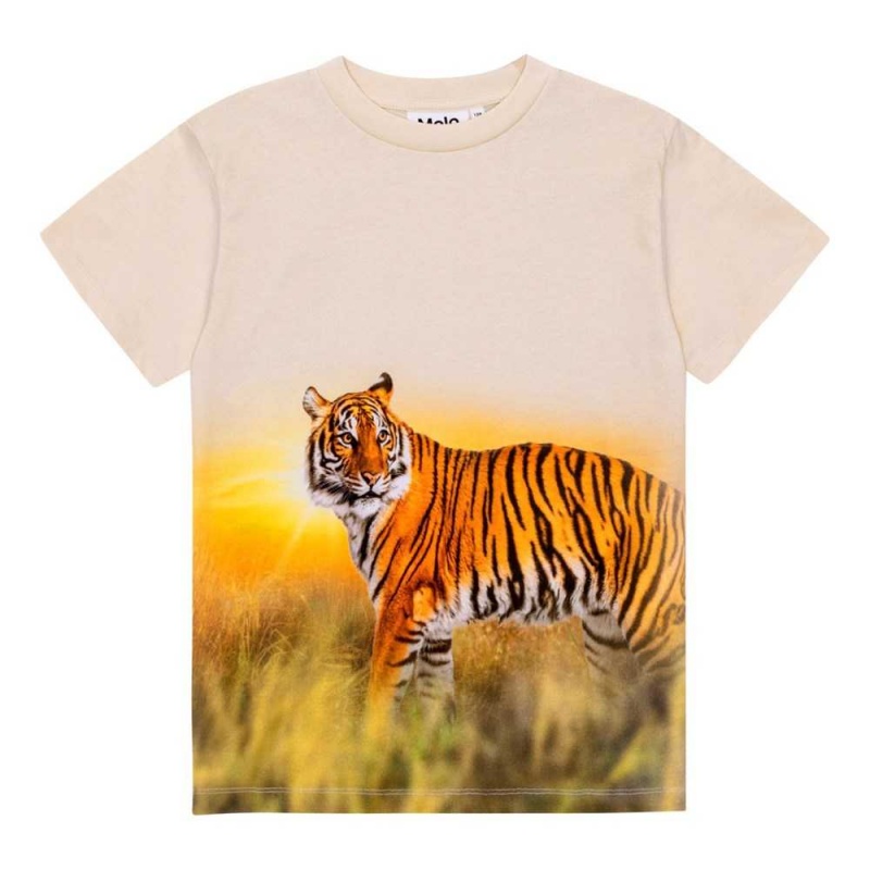 Molo Roxo T Shirts Tops Pojke Tiger Sand | SE0000855