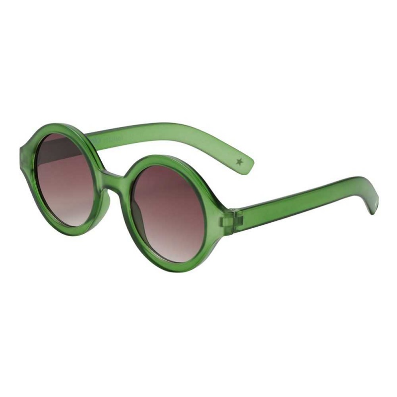 Molo Shelby Solglasögon Green Bee | SE0000993