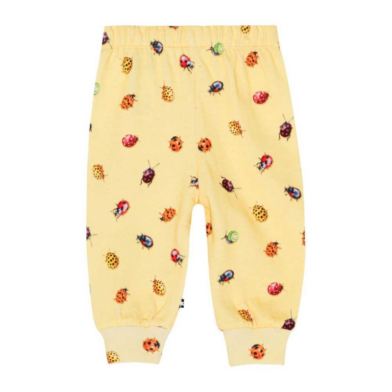 Molo Simeon Pants Jeans Flicka Coccinella | SE0001364